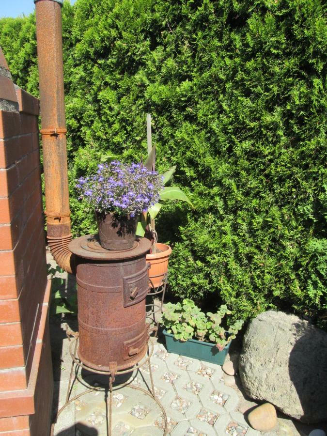U Jurka Apartman Ujście-Darłowskie Kültér fotó